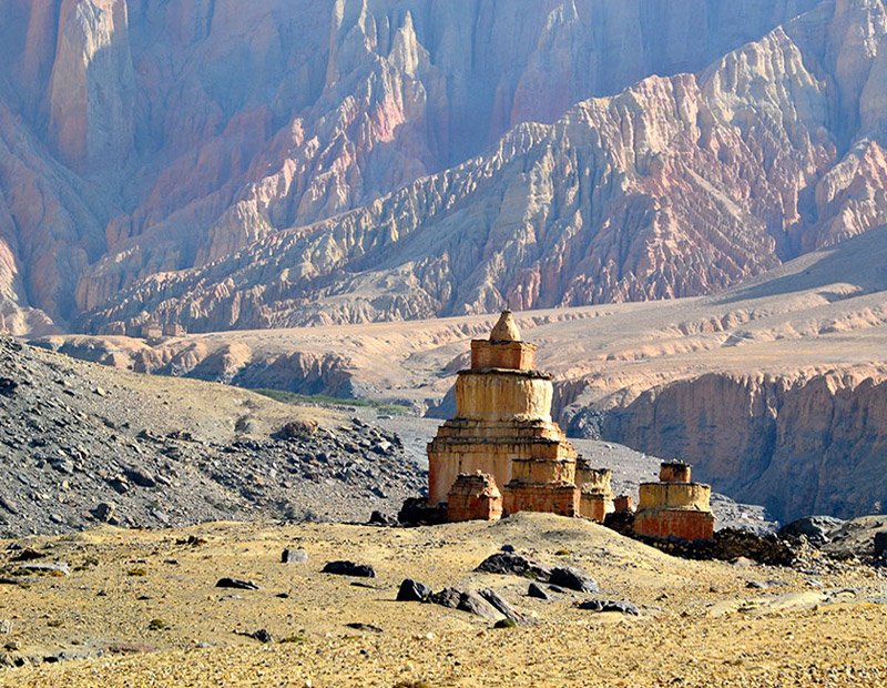 Mustang Circuit Trek