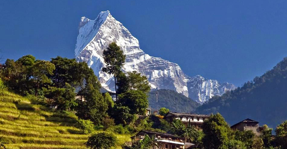 Ghorepani Poonhill family Trek