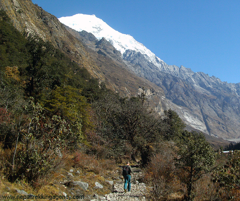 Nepal Trekking