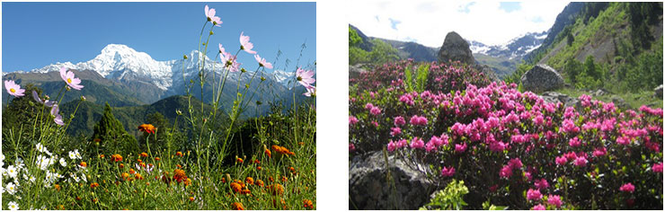 Nepal during Spring